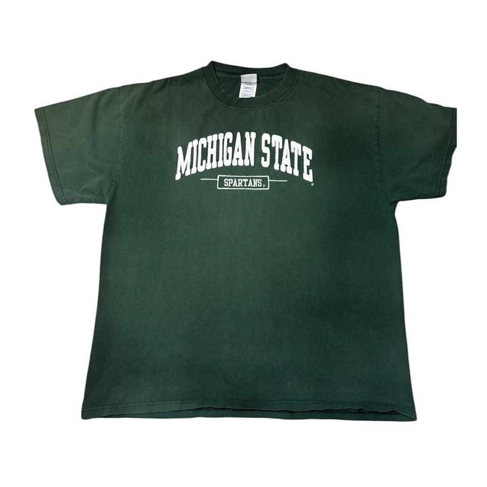 Vintage embroidered Michigan state T-shirt size Large